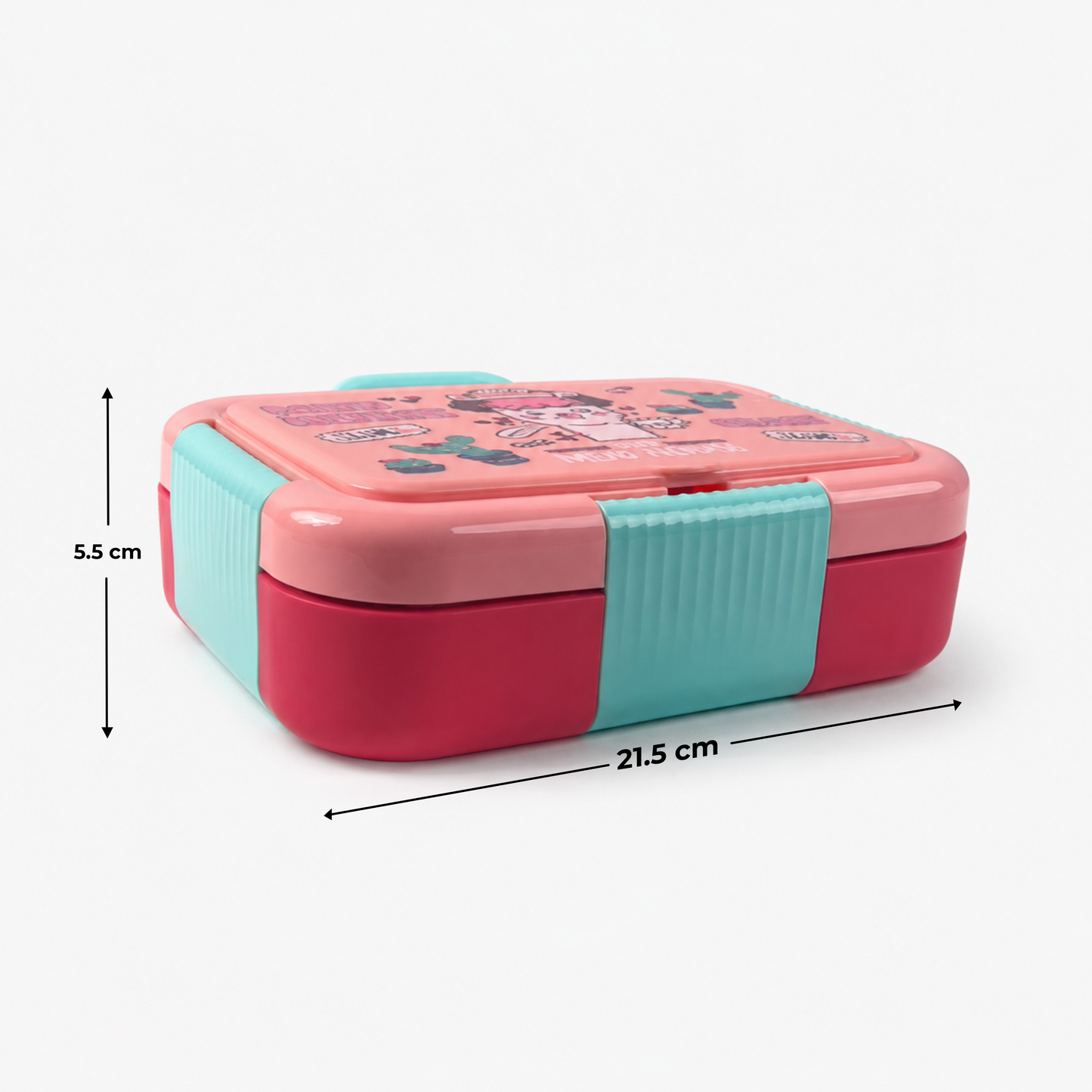 Stainless Steel Bento Lunch Box – 2 Compartment Organizer – 750ml