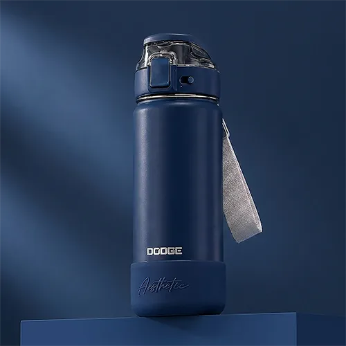 Dodge Aesthetic Premium Insulated Steel Water Bottle - 600ml