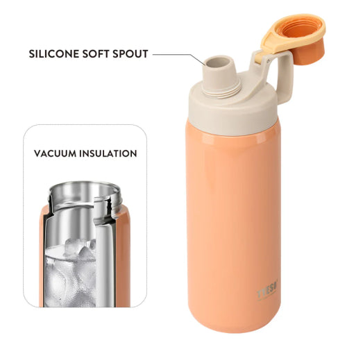 TYESO Premium Insulated Stainless Steel Water Bottle 750ml