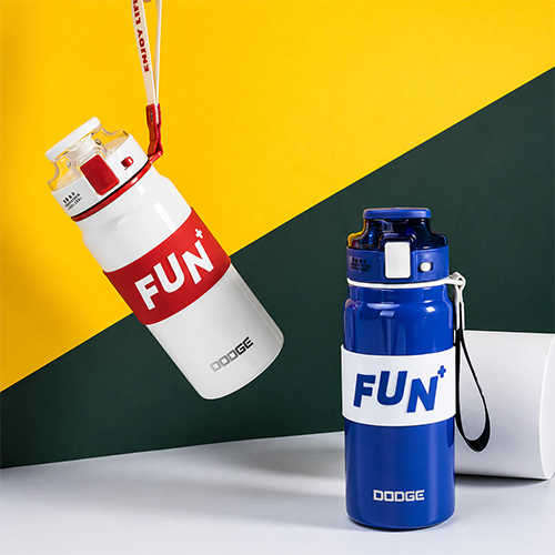 DODGE Premium Stainless Steel Insulated Water Bottle - 800ml