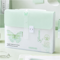 24 Pocket Expanding File Organizer with Secure Clasp