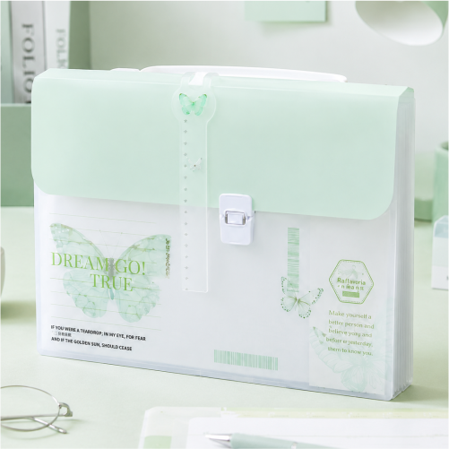 24 Pocket Expanding File Organizer with Secure Clasp