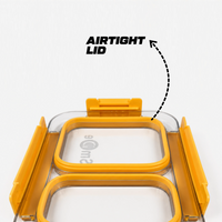 Stainless Steel Bento Lunch Box – 2 Compartment Leakproof Box – 750ml