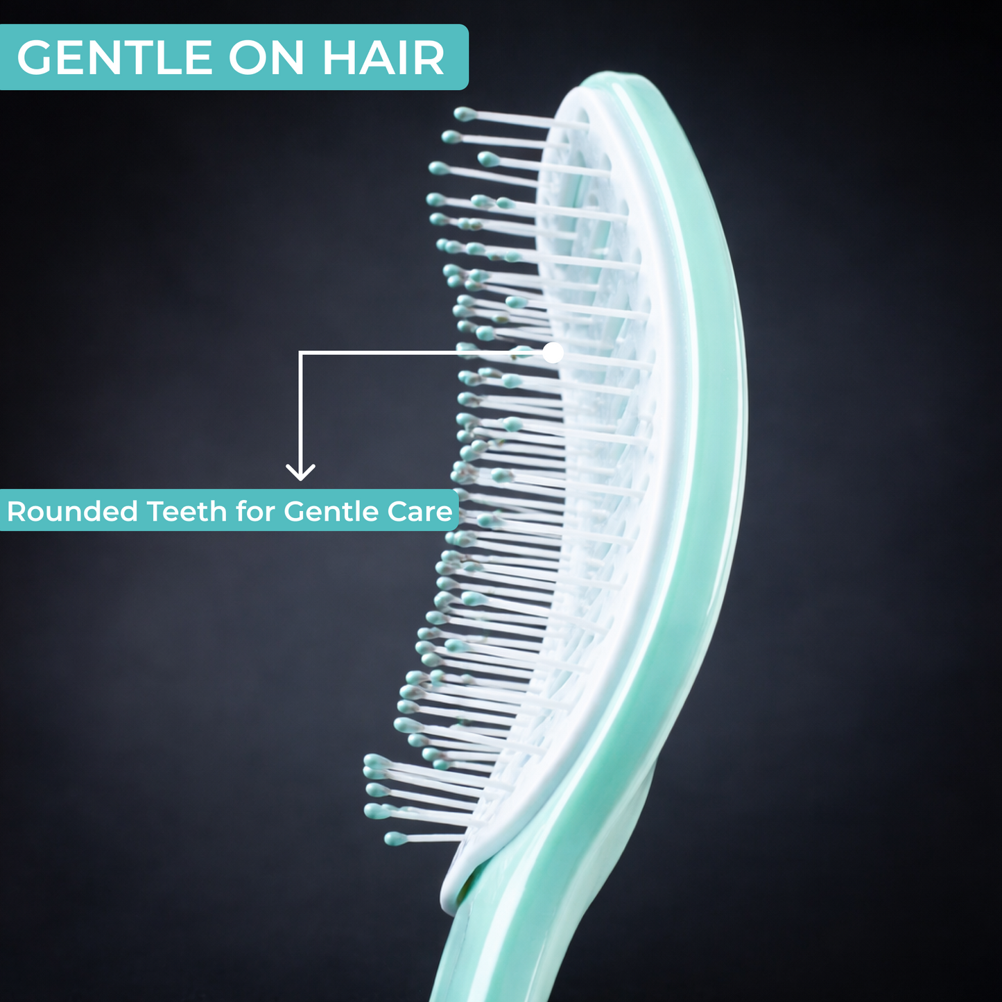 Detachable Hair Brush with PP Body | Easy Clean Paddle Comb