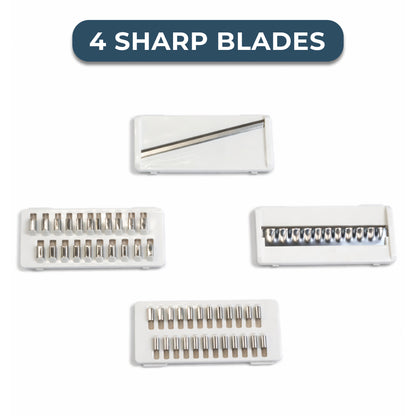 4-in-1 Multi Slicer with Container with Stainless Blades