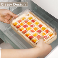 Smart Ice Box – Press & Pop Ice Storage Container