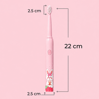 Rechargeable Kids Toothbrush with Sonic Cleaning & 4 Heads