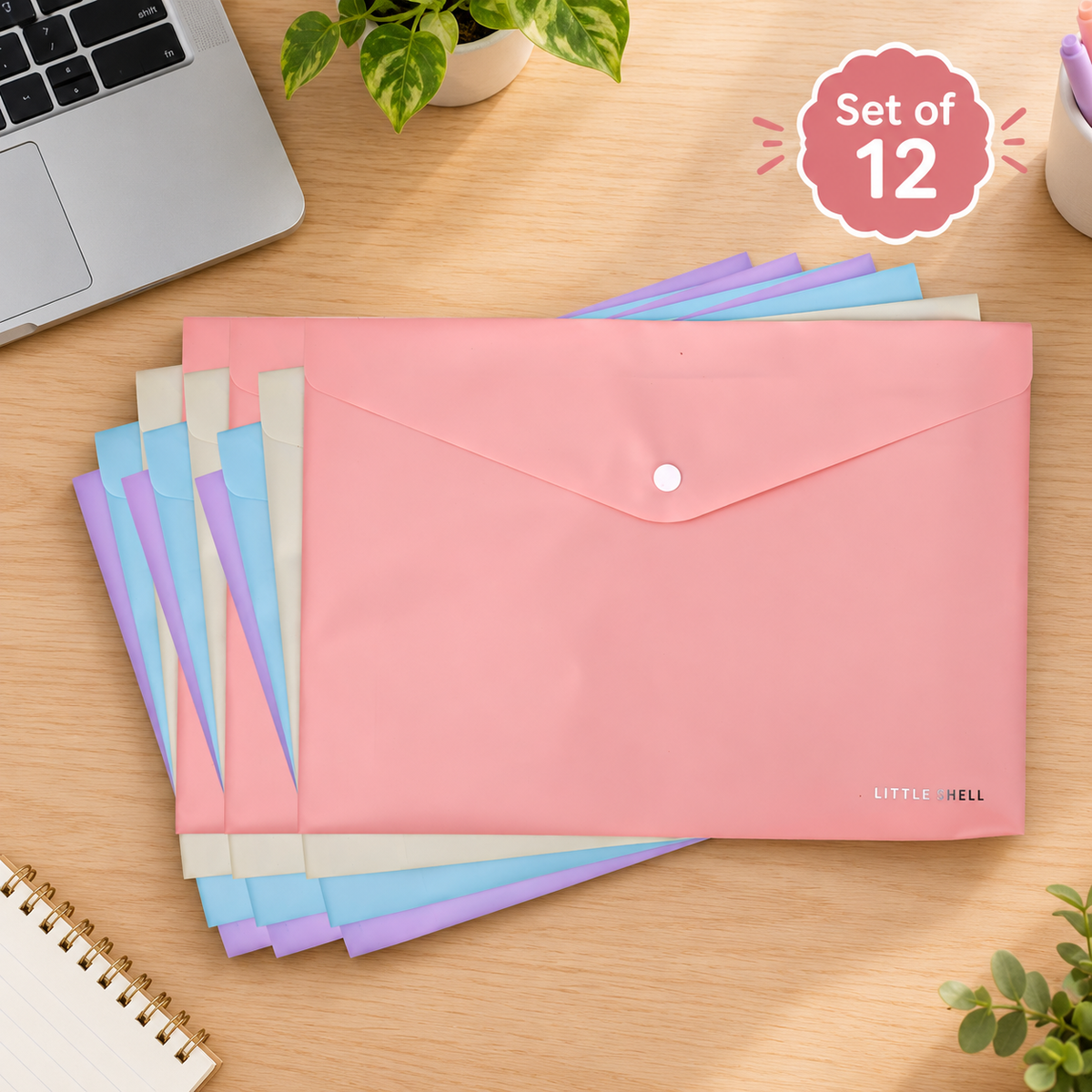 Expanding Accordion File Folder with Elastic Closure